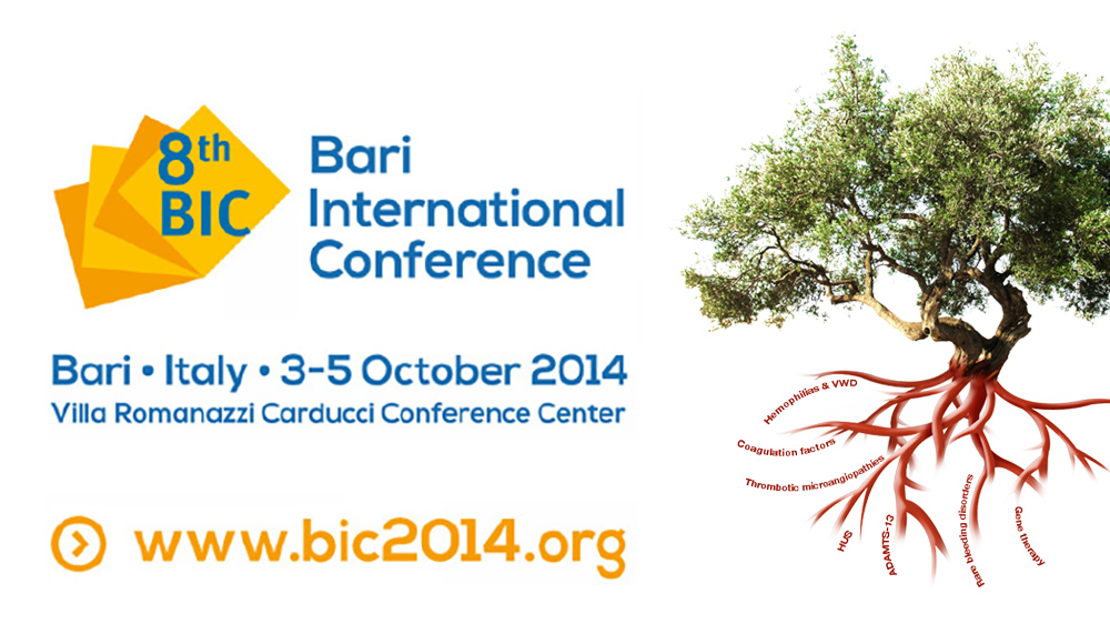 BIC 2014