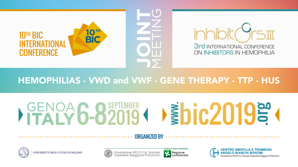 BIC 2019